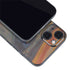 Edvard Munch The Scream iPhone Skins